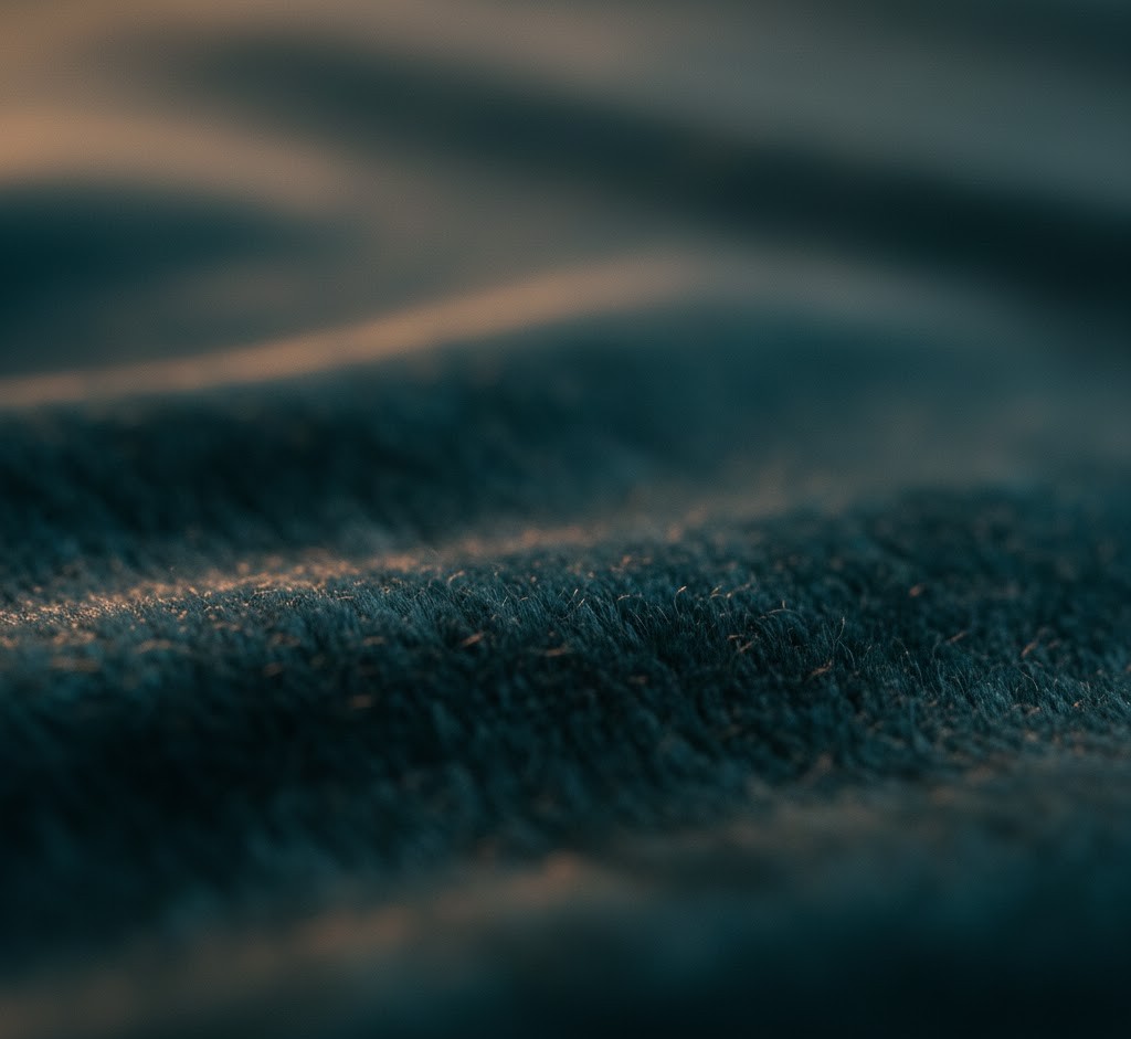 Close-up of velvet texture